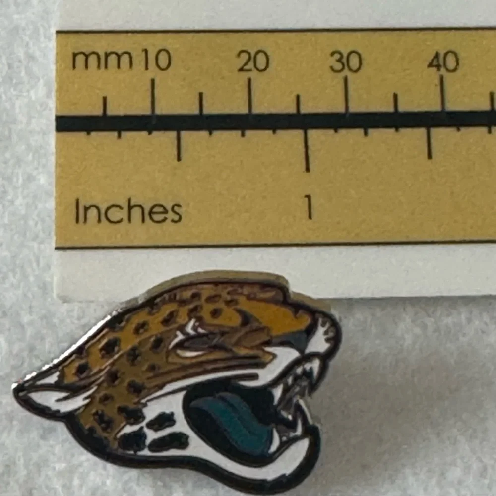 NFL Football Carolina Panthers Logo Hat Pin